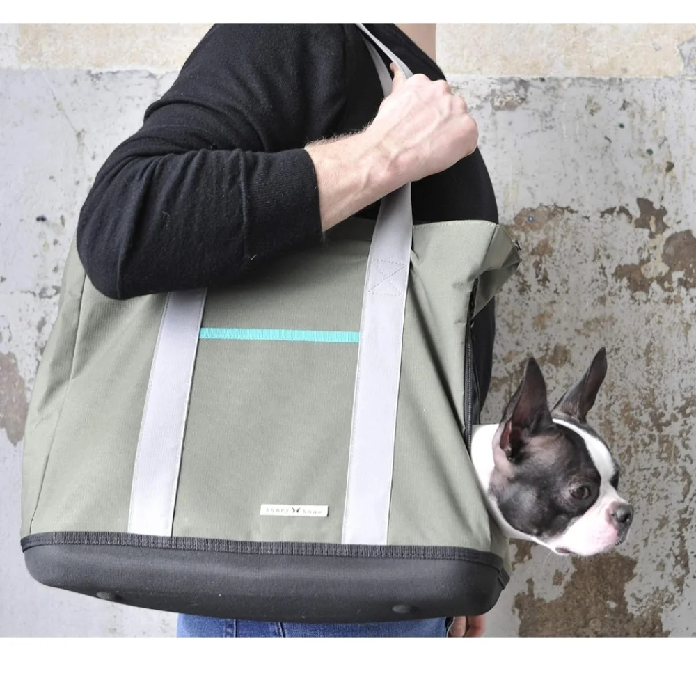 NEW Honey bone pet carrier